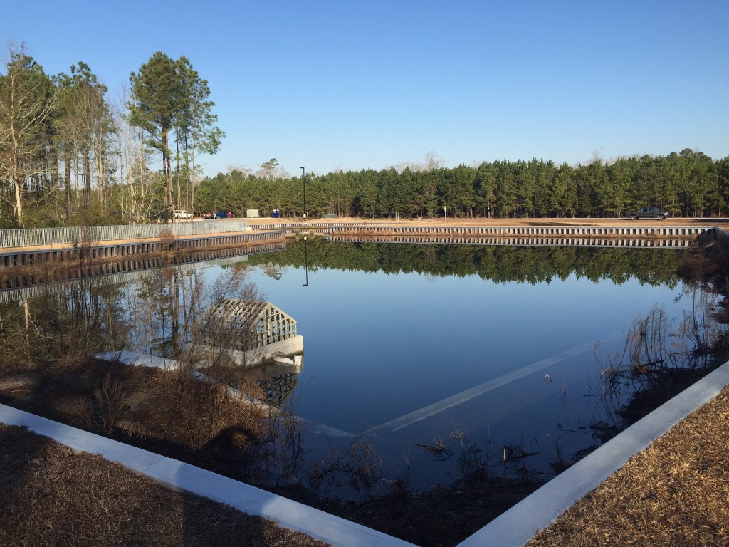 Retention Pond in Jacksonville, NC